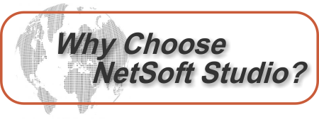 Why Choose NetSoft Studio/References
